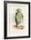 The Mock Turtle, 1930-John Tenniel-Framed Giclee Print