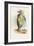 The Mock Turtle, 1930-John Tenniel-Framed Giclee Print