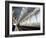 The Modern Oriente Railway Station, Designed by Santiago Calatrava, Lisbon, Portugal-Yadid Levy-Framed Photographic Print