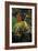 The Mold-Paul Gauguin-Framed Art Print