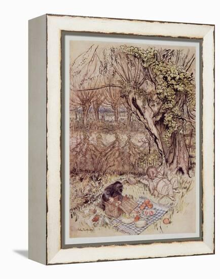 The Mole Begged as a Favour to Be Allowed to Unpack it All by Himself, from Wind in the Willows by-Arthur Rackham-Framed Premier Image Canvas