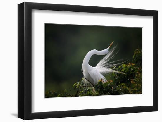 The Moment You Will Never Forget!-David H Yang-Framed Photographic Print