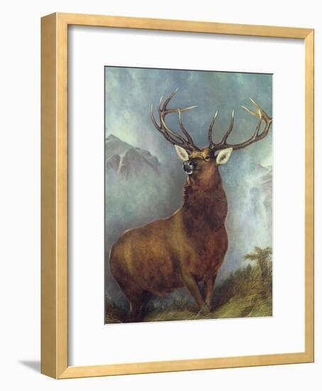 The Monarch of the Glen-William Widgery-Framed Giclee Print