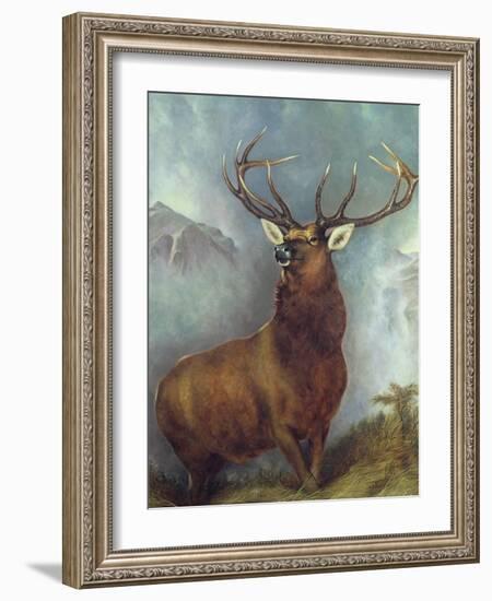 The Monarch of the Glen-William Widgery-Framed Giclee Print