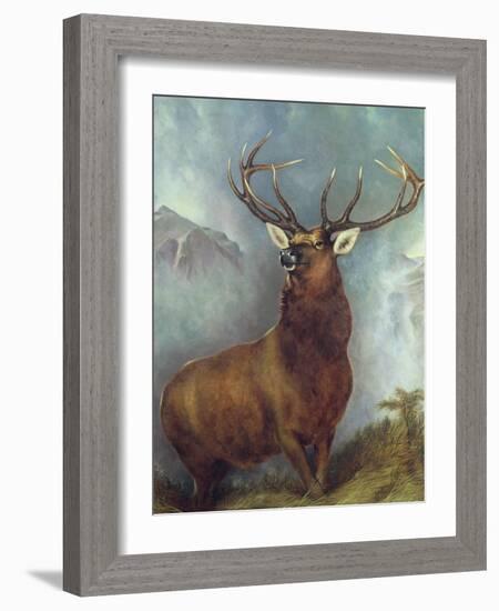 The Monarch of the Glen-William Widgery-Framed Giclee Print