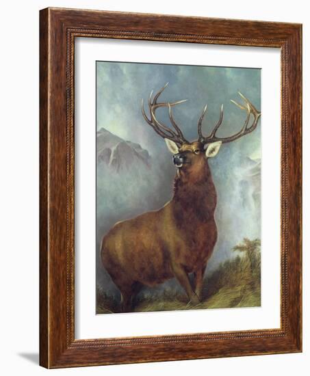 The Monarch of the Glen-William Widgery-Framed Giclee Print