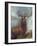 The Monarch of the Glen-William Widgery-Framed Giclee Print