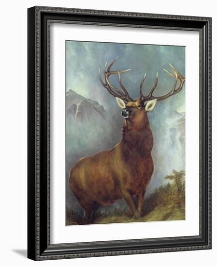 The Monarch of the Glen-William Widgery-Framed Giclee Print