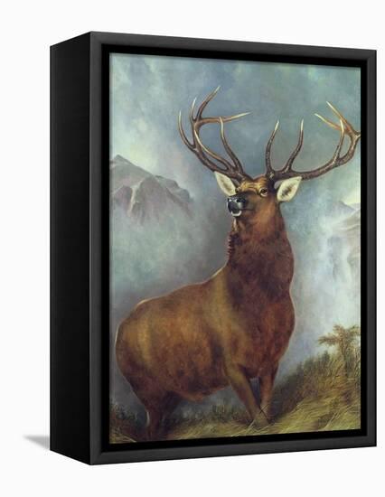 The Monarch of the Glen-William Widgery-Framed Premier Image Canvas