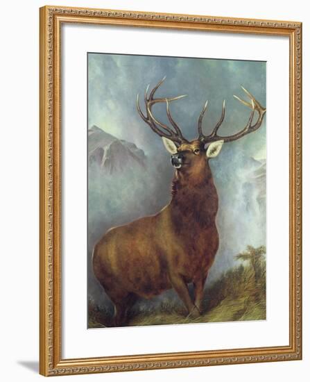 The Monarch of the Glen-William Widgery-Framed Giclee Print