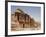 The Monastery, Petra, Unesco World Heritage Site, Wadi Musa (Mousa), Jordan, Middle East-Christian Kober-Framed Photographic Print