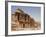 The Monastery, Petra, Unesco World Heritage Site, Wadi Musa (Mousa), Jordan, Middle East-Christian Kober-Framed Photographic Print