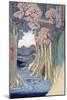 The Monkey Bridge in the Kai Province, from the Series Rokuju-Yoshu Meisho Zue-Ando Hiroshige-Mounted Giclee Print