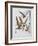 "The Monkeys Caught Dorothy in Theirs Arms and Flew Away With Her"-William Denslow-Framed Giclee Print