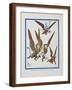 "The Monkeys Caught Dorothy in Theirs Arms and Flew Away With Her"-William Denslow-Framed Giclee Print