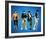 The Monkeys-null-Framed Photo