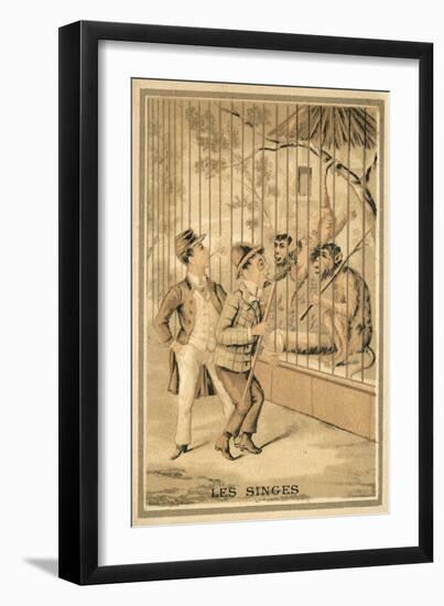 The Monkeys-null-Framed Giclee Print