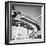 The Monorail of the New York World's Fair-null-Framed Photographic Print