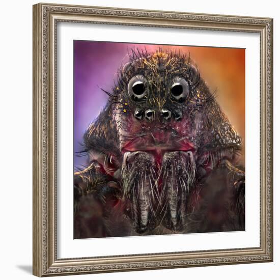 The Monster-Jorge Fardels-Framed Photographic Print