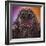 The Monster-Jorge Fardels-Framed Photographic Print