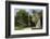 The Monumental Head by Igor Mitora in the Boboli Gardens, Florence, Tuscany, Italy-John Woodworth-Framed Photographic Print