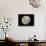 The Moon As Seen from the Southern Hemisphere-Stocktrek Images-Photographic Print displayed on a wall
