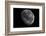 The Moon From Space-Detlev Van Ravenswaay-Framed Photographic Print