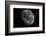 The Moon From Space-Detlev Van Ravenswaay-Framed Photographic Print