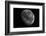 The Moon From Space-Detlev Van Ravenswaay-Framed Photographic Print