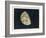 The Moon Gibbous, in a Decreasing State-Charles F. Bunt-Framed Art Print