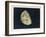 The Moon Gibbous, in a Decreasing State-Charles F. Bunt-Framed Art Print