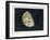 The Moon Gibbous, in a Decreasing State-Charles F. Bunt-Framed Art Print
