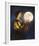 The Moon In Her Hands-Eccentric Accents-Framed Giclee Print