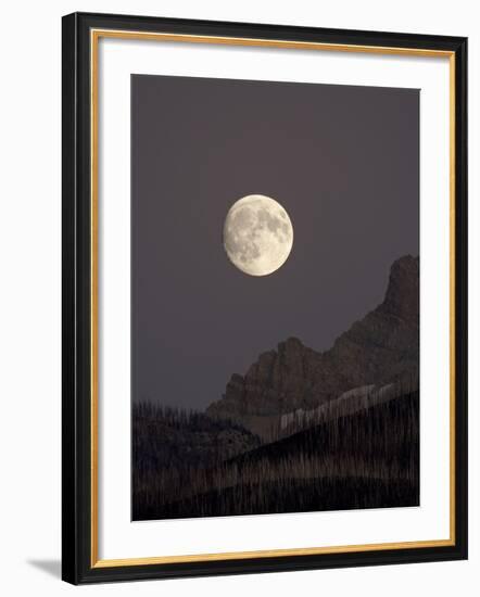 The Moon Rising, Glacier National Park, Montana, USA-James Hager-Framed Photographic Print