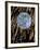 The Moon's Disk Seen During Fireworks Marking the Defender of the Fatherland Day-null-Framed Photographic Print