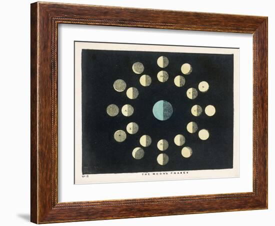 The Moon's Phases-Charles F. Bunt-Framed Art Print