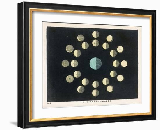 The Moon's Phases-Charles F. Bunt-Framed Art Print