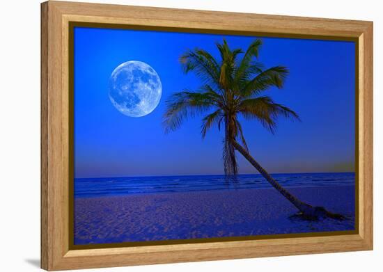 The Moon Shining in a Deserted Tropical Beach at Midnight with a Coconut Palm Tree in the Foregroun-Kamira-Framed Premier Image Canvas