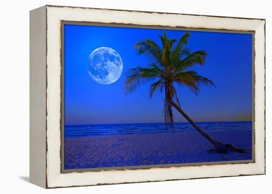 The Moon Shining in a Deserted Tropical Beach at Midnight with a Coconut Palm Tree in the Foregroun-Kamira-Framed Premier Image Canvas