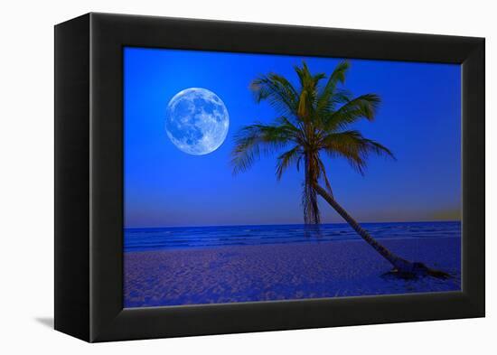 The Moon Shining in a Deserted Tropical Beach at Midnight with a Coconut Palm Tree in the Foregroun-Kamira-Framed Premier Image Canvas