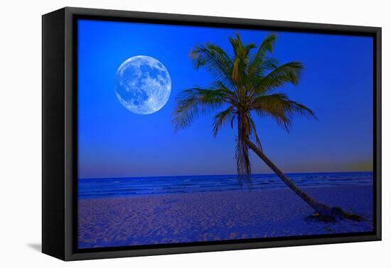 The Moon Shining in a Deserted Tropical Beach at Midnight with a Coconut Palm Tree in the Foregroun-Kamira-Framed Premier Image Canvas