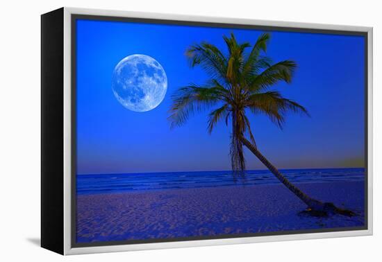 The Moon Shining in a Deserted Tropical Beach at Midnight with a Coconut Palm Tree in the Foregroun-Kamira-Framed Premier Image Canvas