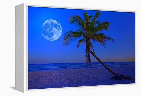 The Moon Shining in a Deserted Tropical Beach at Midnight with a Coconut Palm Tree in the Foregroun-Kamira-Framed Premier Image Canvas