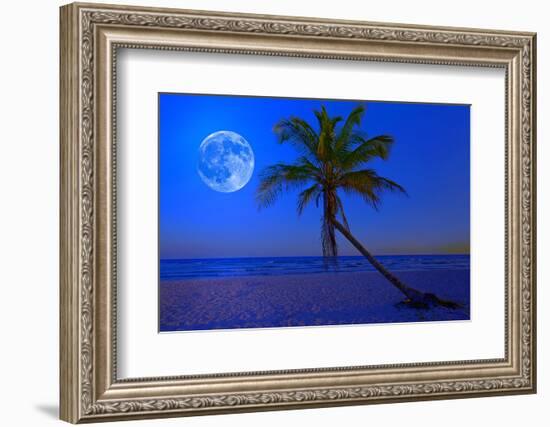 The Moon Shining in a Deserted Tropical Beach at Midnight with a Coconut Palm Tree in the Foregroun-Kamira-Framed Photographic Print