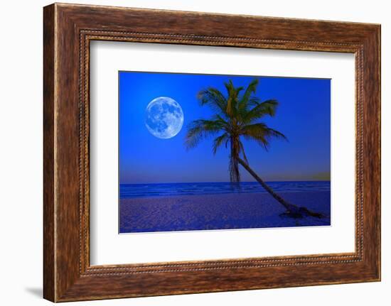 The Moon Shining in a Deserted Tropical Beach at Midnight with a Coconut Palm Tree in the Foregroun-Kamira-Framed Photographic Print