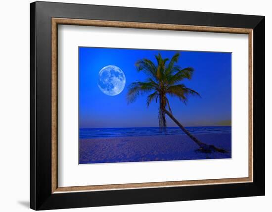The Moon Shining in a Deserted Tropical Beach at Midnight with a Coconut Palm Tree in the Foregroun-Kamira-Framed Photographic Print