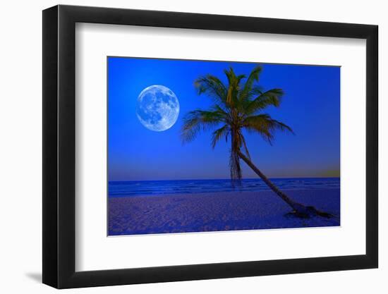 The Moon Shining in a Deserted Tropical Beach at Midnight with a Coconut Palm Tree in the Foregroun-Kamira-Framed Photographic Print