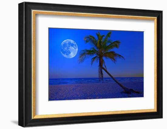 The Moon Shining in a Deserted Tropical Beach at Midnight with a Coconut Palm Tree in the Foregroun-Kamira-Framed Photographic Print