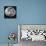 The Moon-Stocktrek Images-Framed Premier Image Canvas displayed on a wall