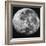 The Moon-Stocktrek Images-Framed Photographic Print